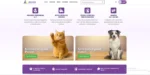 pipeta gatito